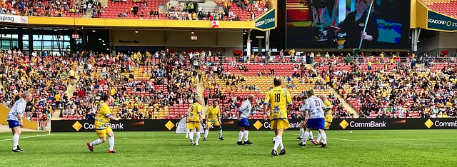 的足球赛场 的足球赛场