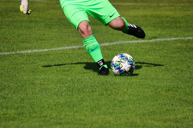 新加入的明 新加入的明