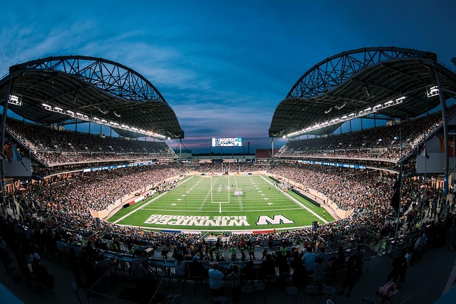 追求冠军的 追求冠军的